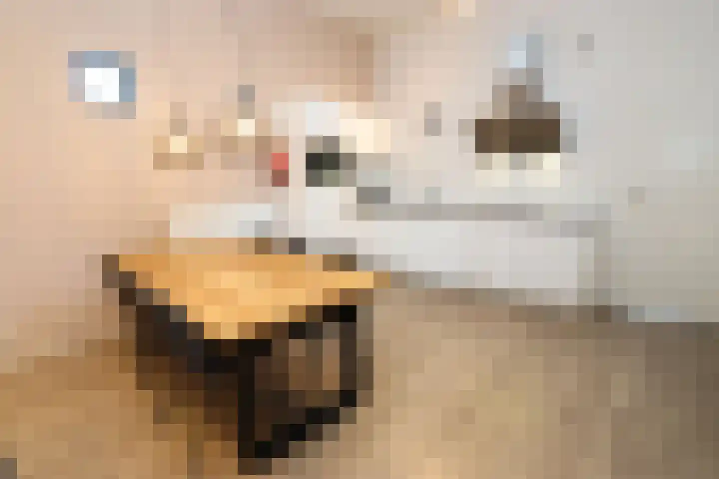 Bathmenseweg 7 H302 Epse thumbnail 10
