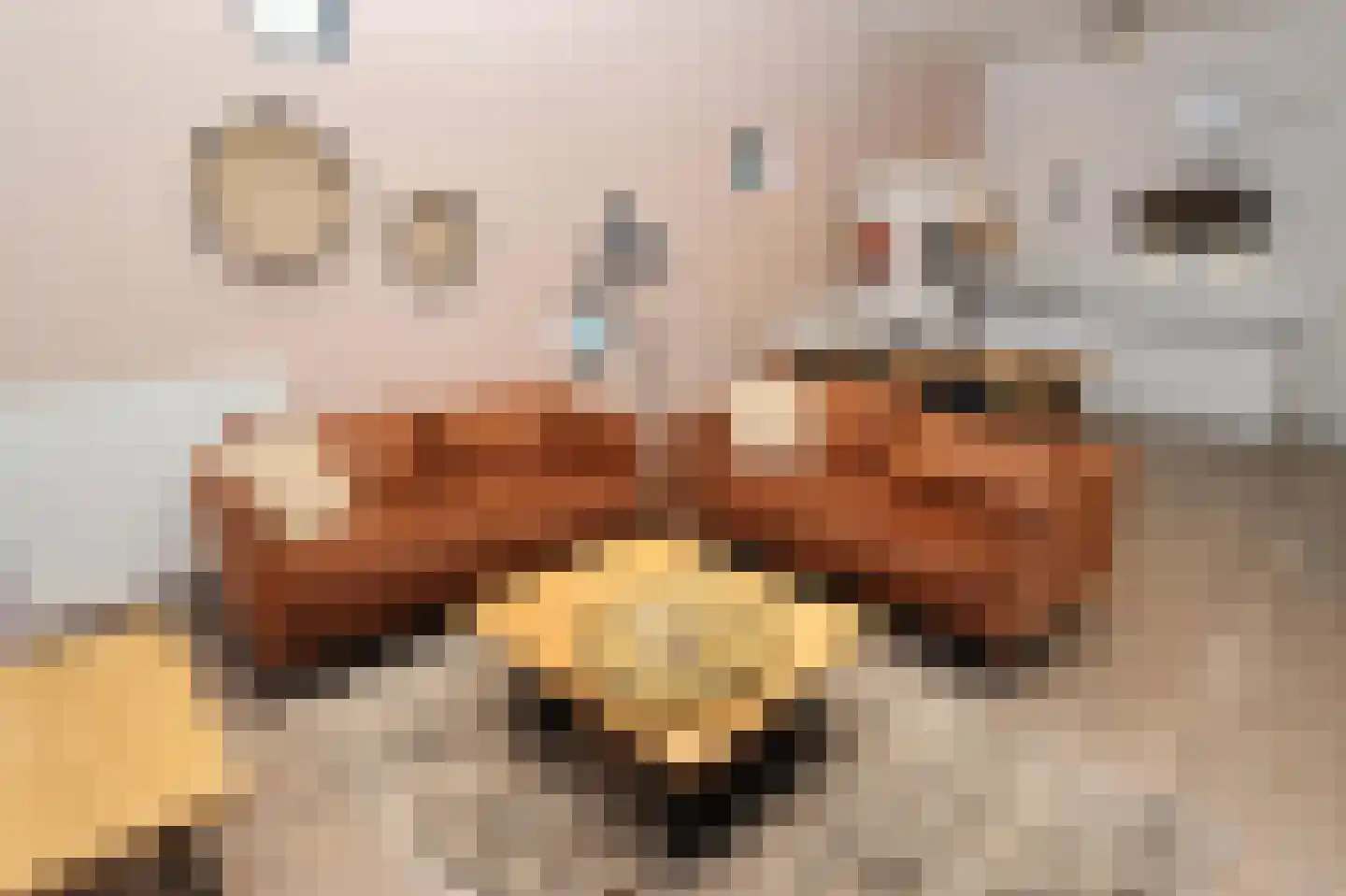 Bathmenseweg 7 H302 Epse thumbnail 11