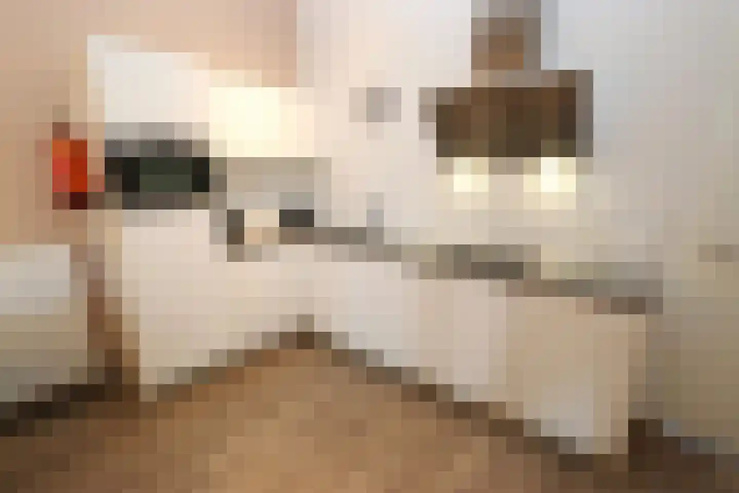 Bathmenseweg 7 H302 Epse thumbnail 11
