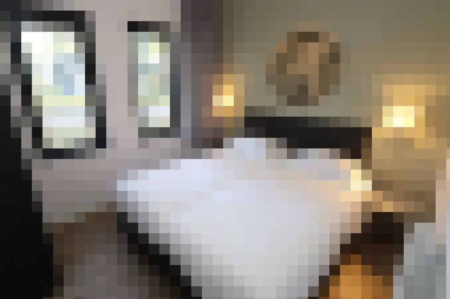 Bathmenseweg 7 H302 Epse thumbnail 17