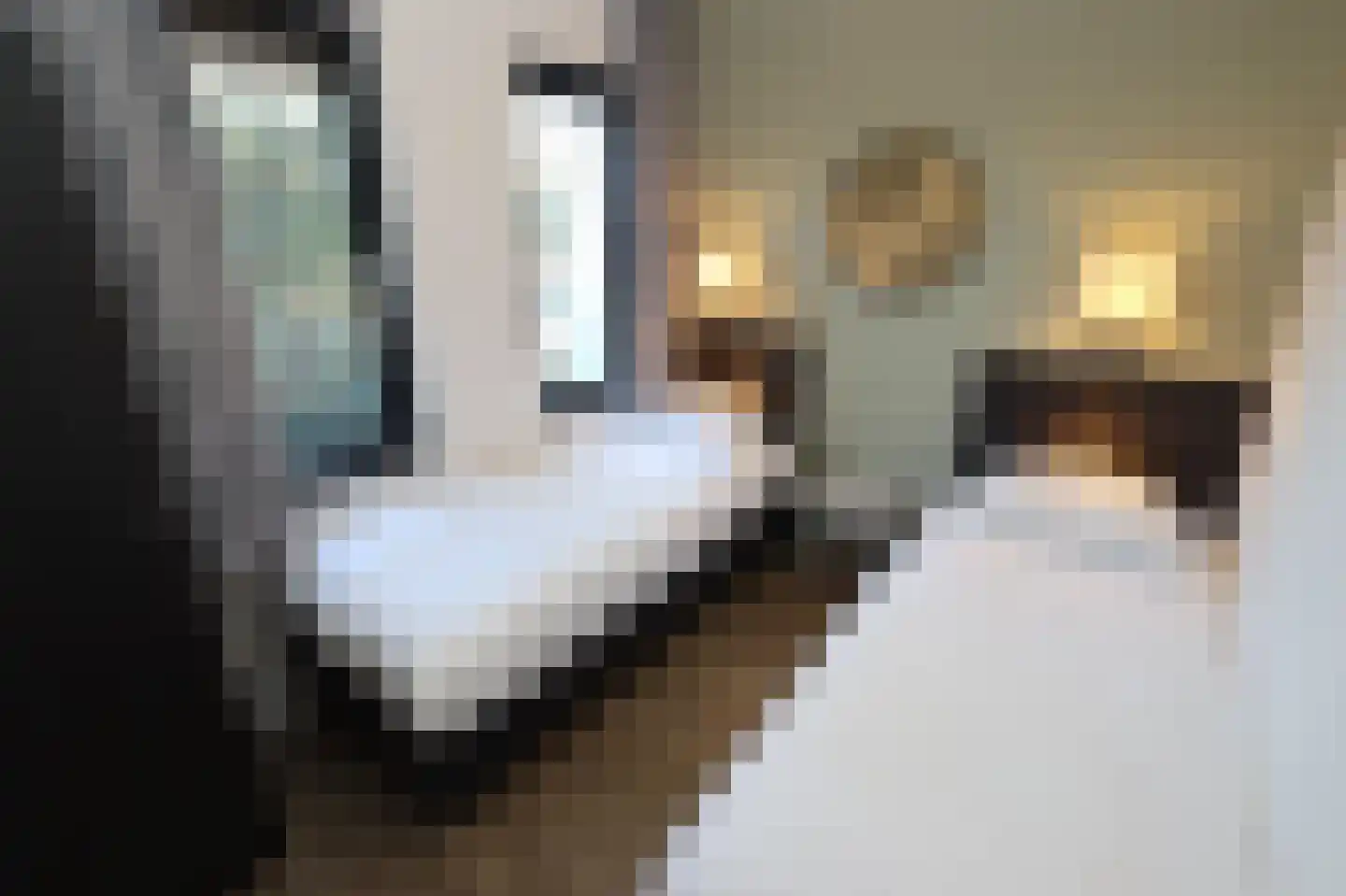 Bathmenseweg 7 H302 Epse thumbnail 18