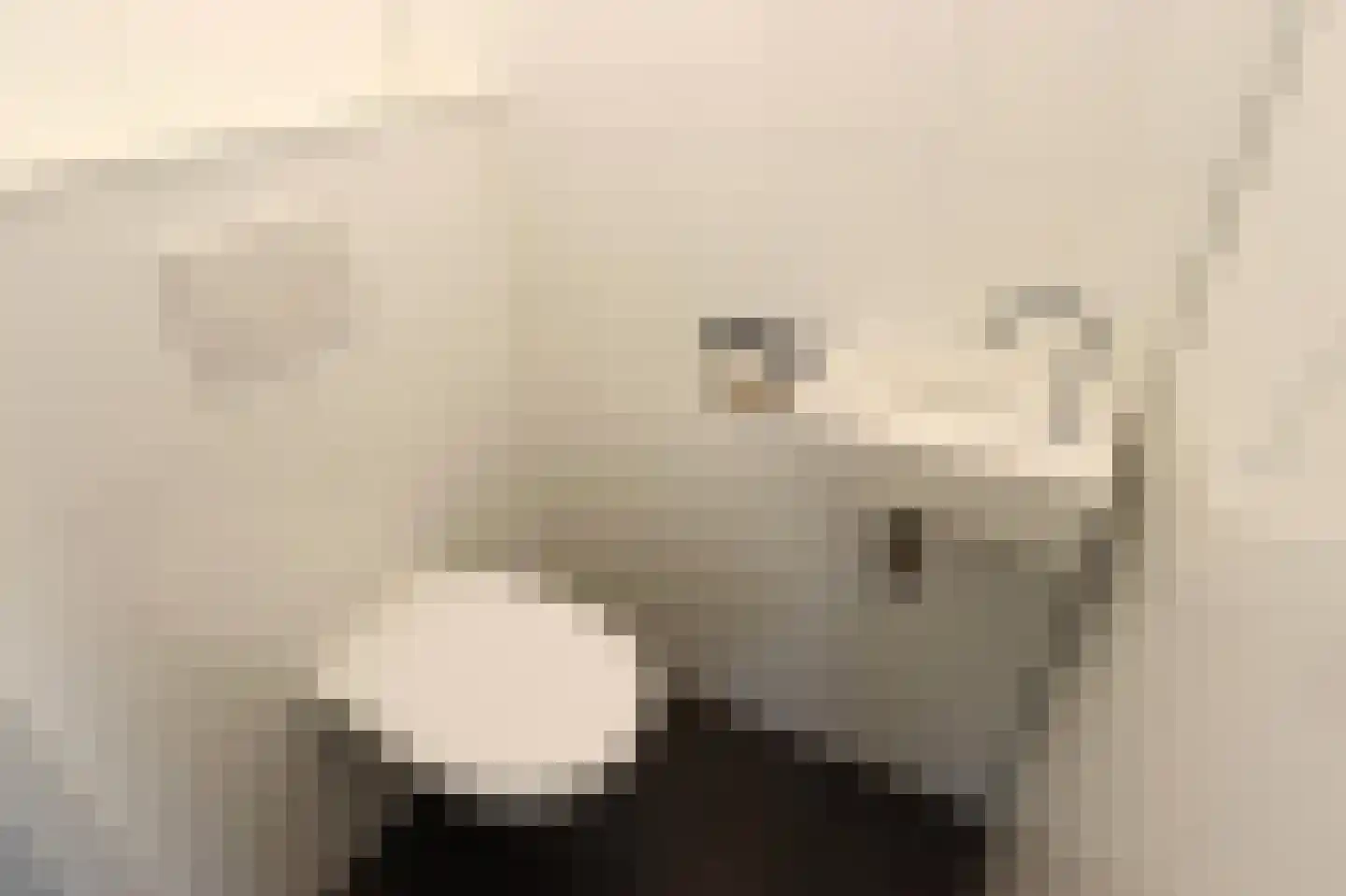 Bathmenseweg 7 H302 Epse thumbnail 21