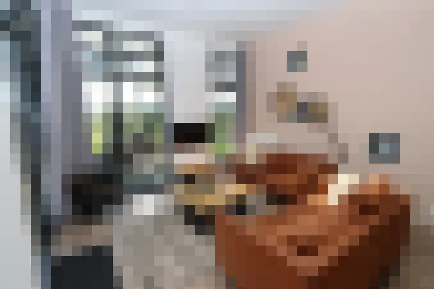 Bathmenseweg 7 H302 Epse thumbnail 7