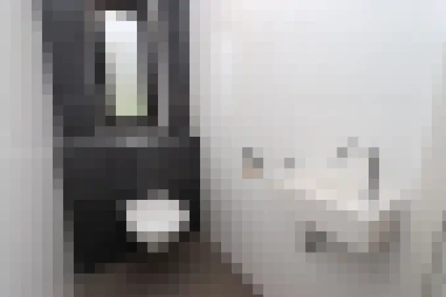 Bathmenseweg 7 H303 Epse thumbnail 17
