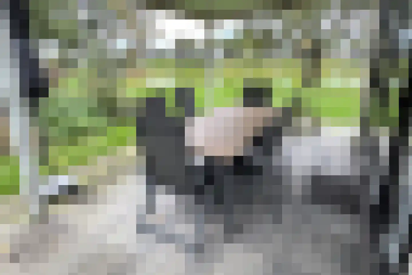 Bathmenseweg 7 H303 Epse thumbnail 5