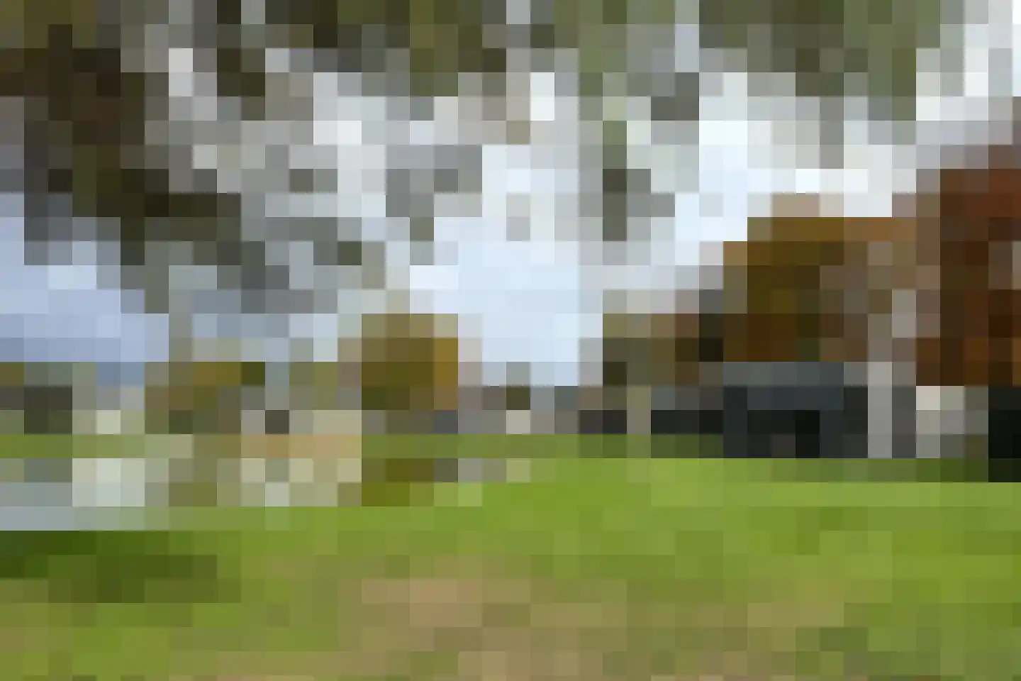 Bathmenseweg 7 H303 Epse thumbnail 6