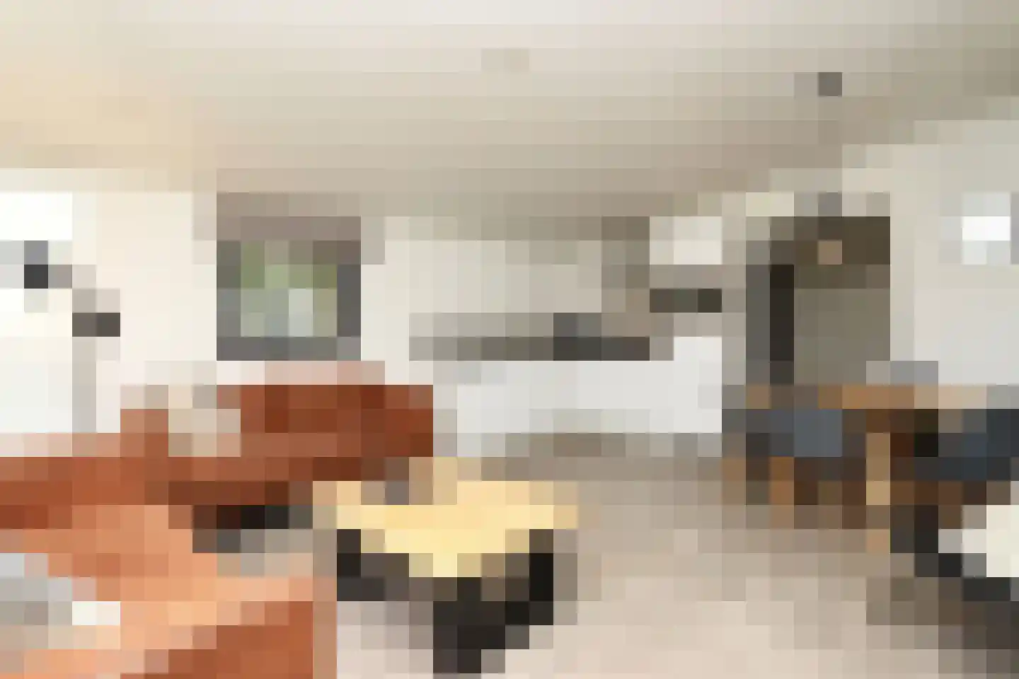 Bathmenseweg 7 H303 Epse thumbnail 8