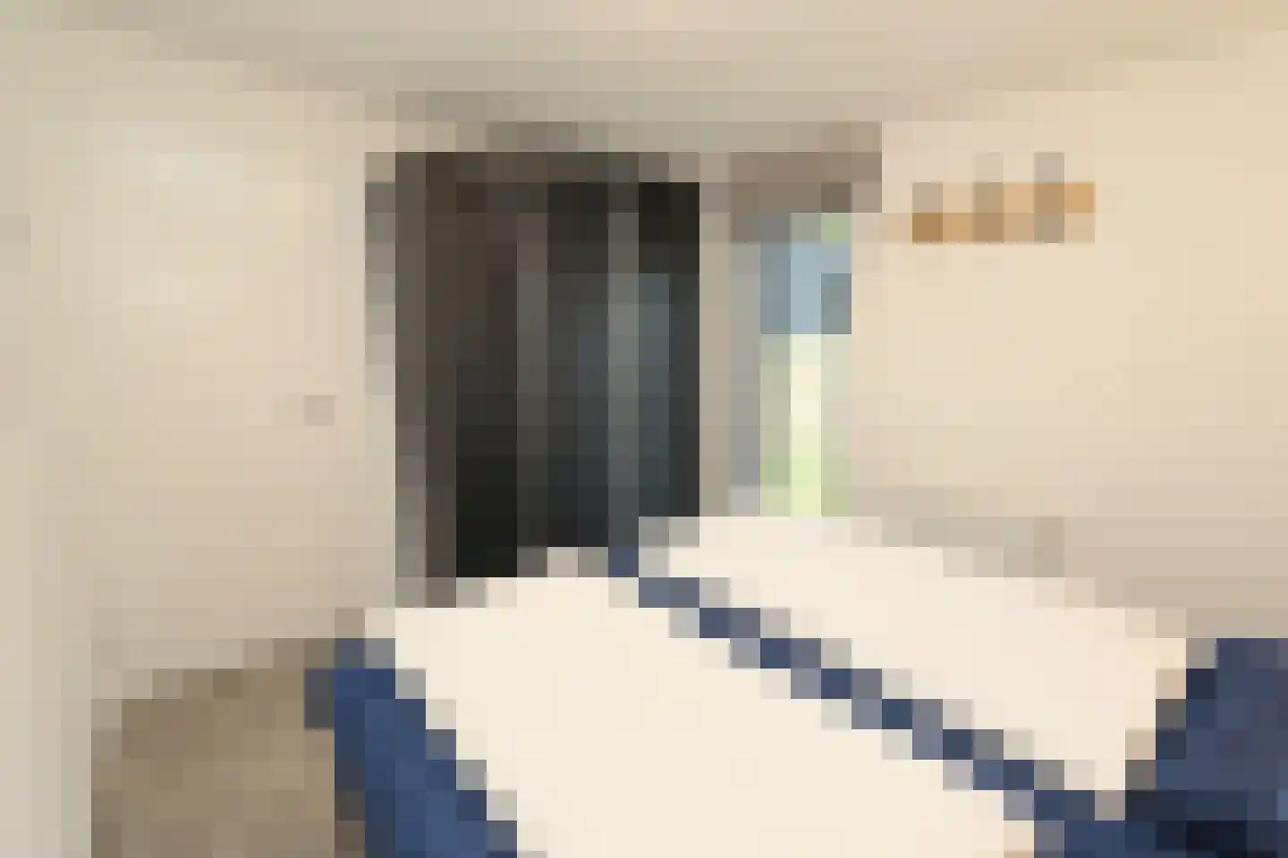 Bathmenseweg 7 H305 Epse thumbnail 11