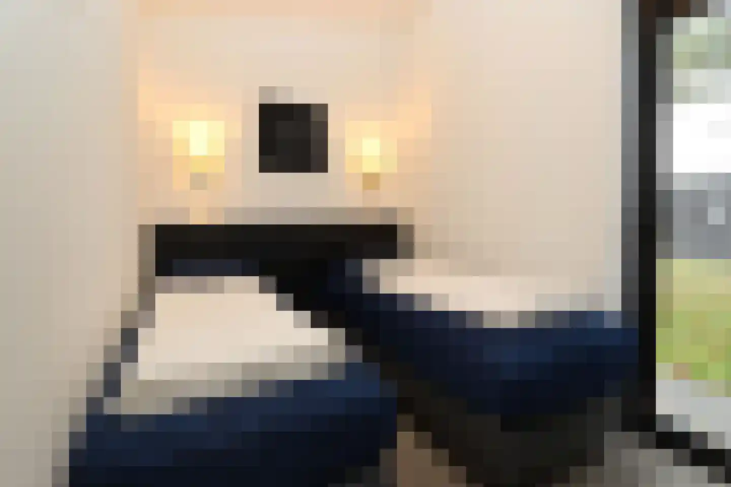 Bathmenseweg 7 H305 Epse thumbnail 12