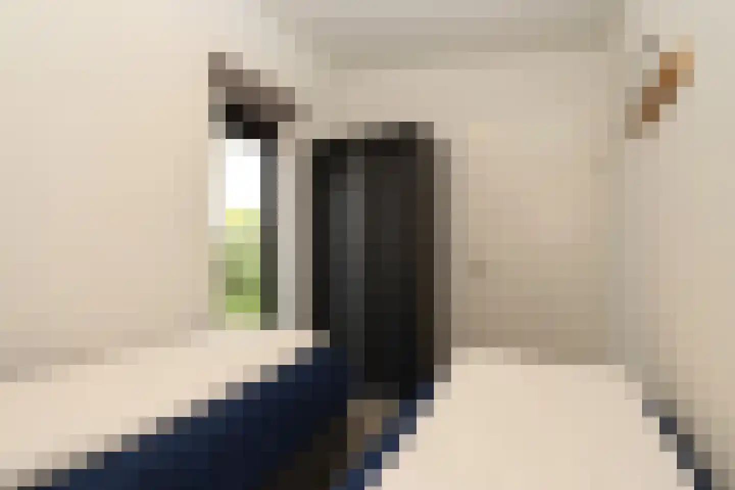 Bathmenseweg 7 H305 Epse thumbnail 13
