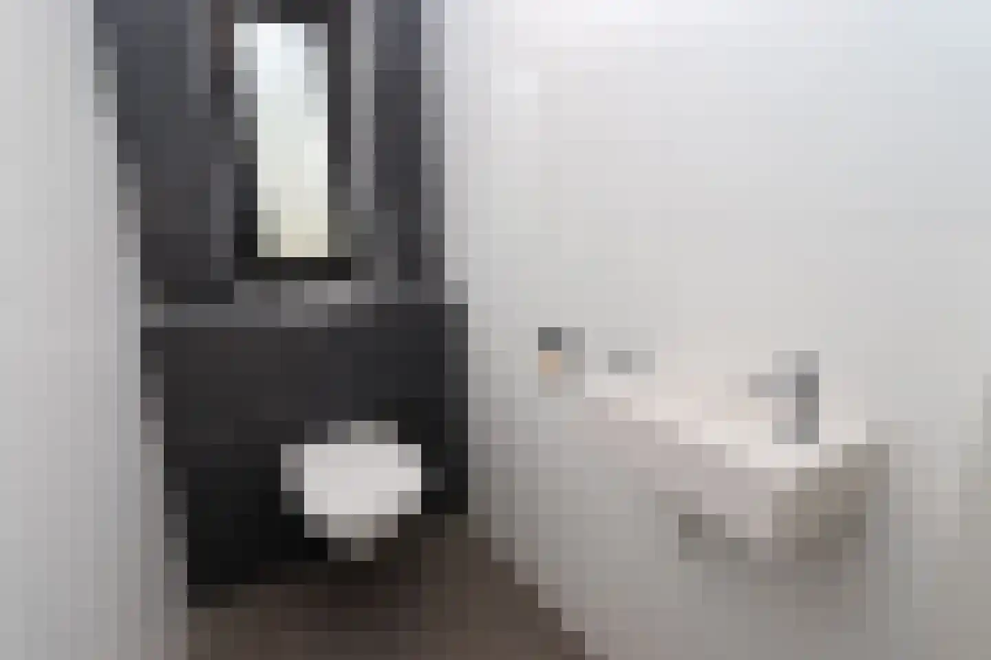 Bathmenseweg 7 H305 Epse thumbnail 16