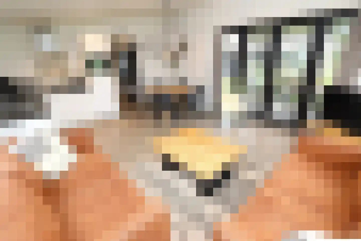 Bathmenseweg 7 H305 Epse thumbnail 6