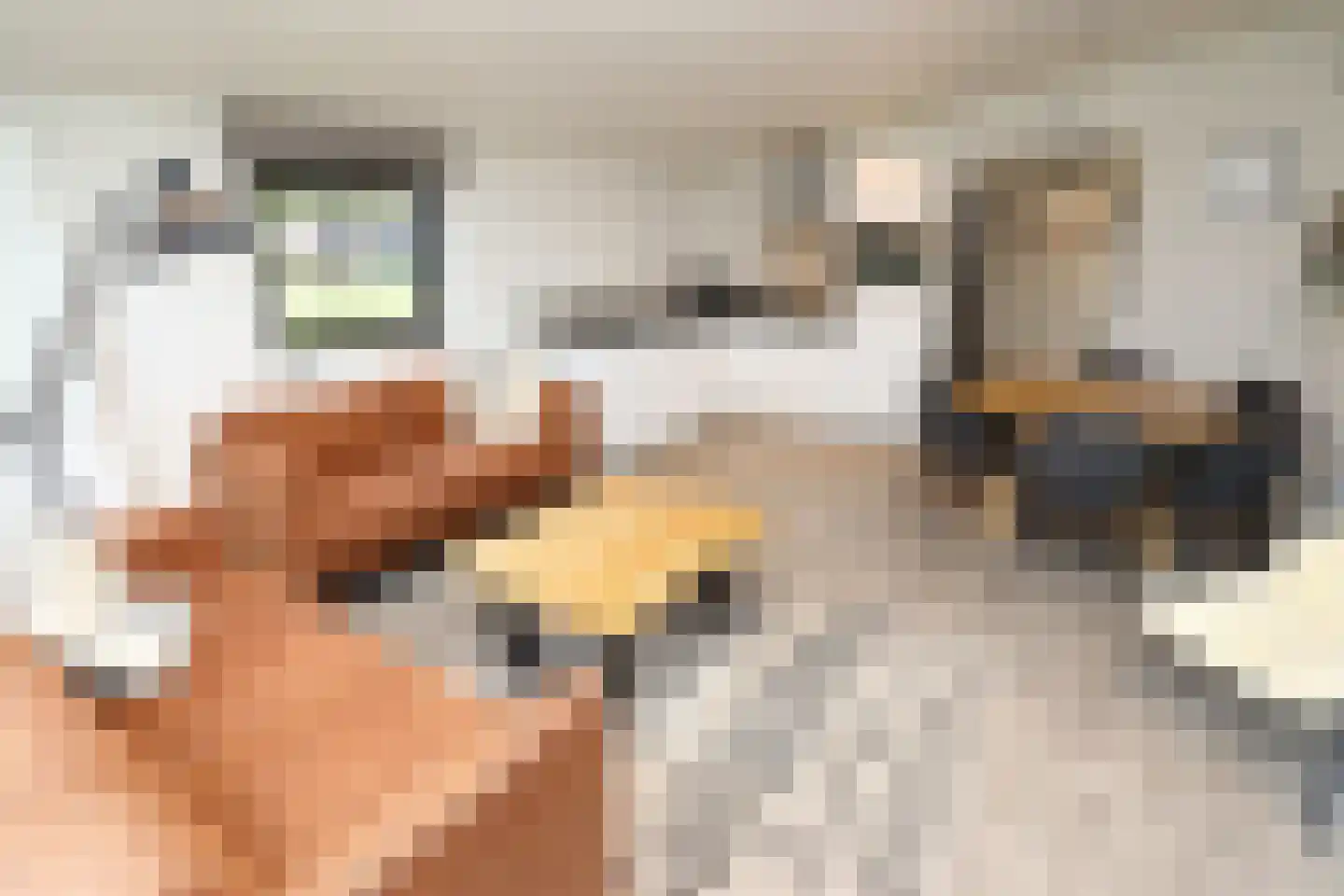 Bathmenseweg 7 H305 Epse thumbnail 7