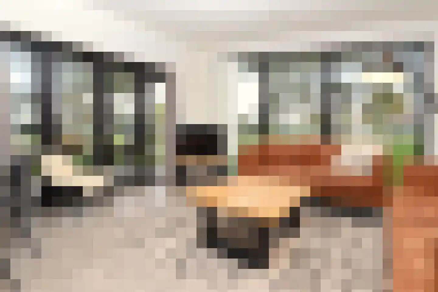 Bathmenseweg 7 H305 Epse thumbnail 8