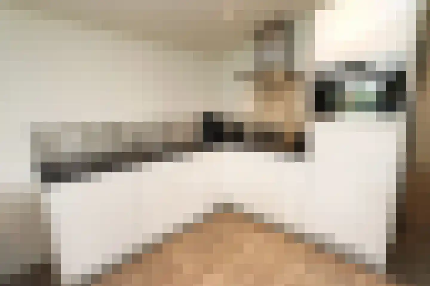 Bathmenseweg 7 H305 Epse thumbnail 9