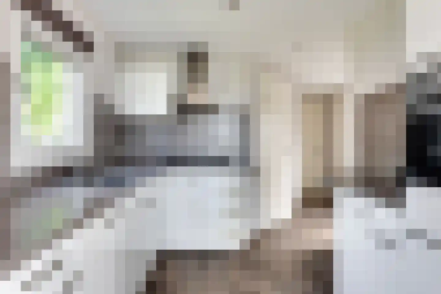 Bathmenseweg 7 H331 Epse thumbnail 12