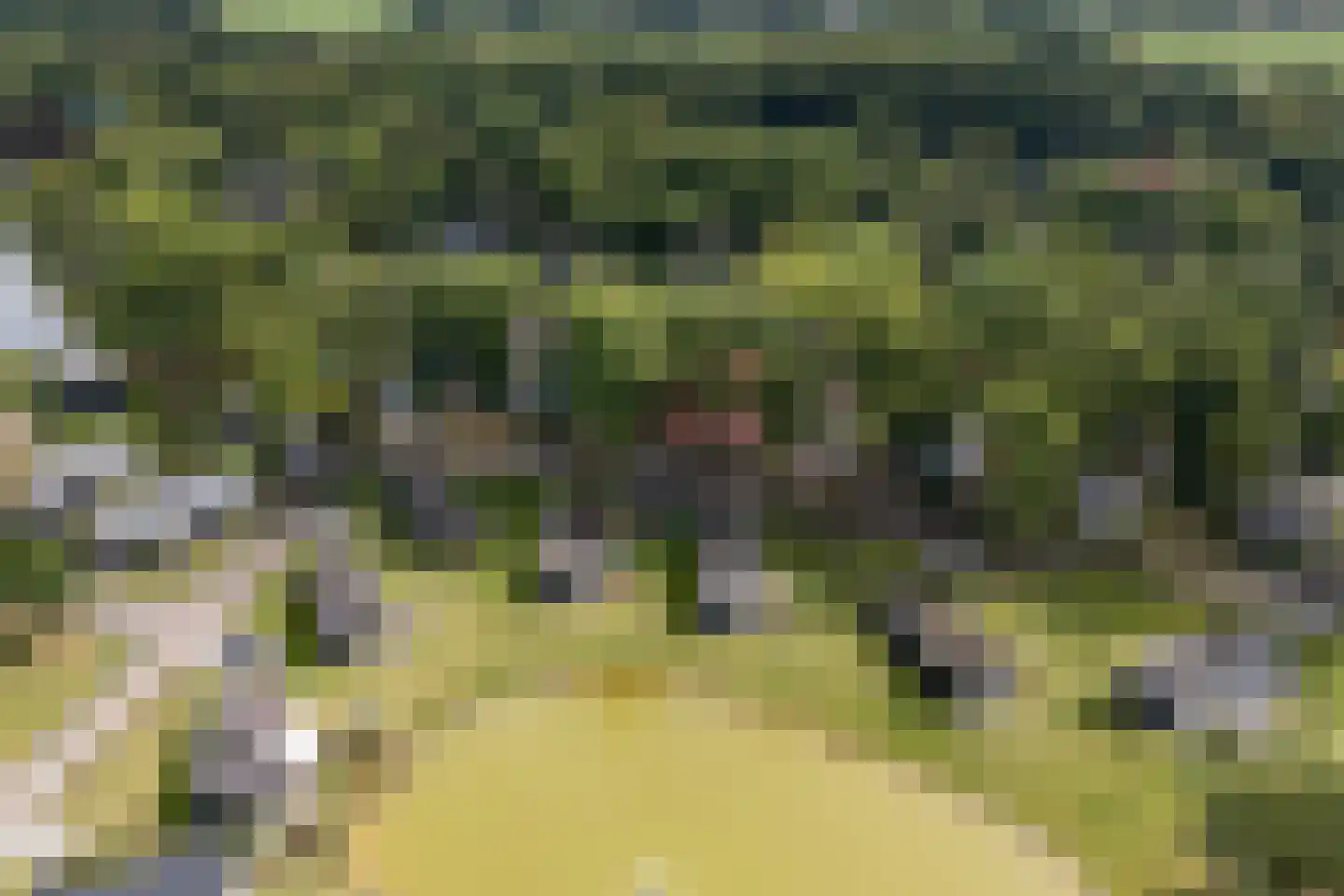 Bathmenseweg 7 H331 Epse thumbnail 25