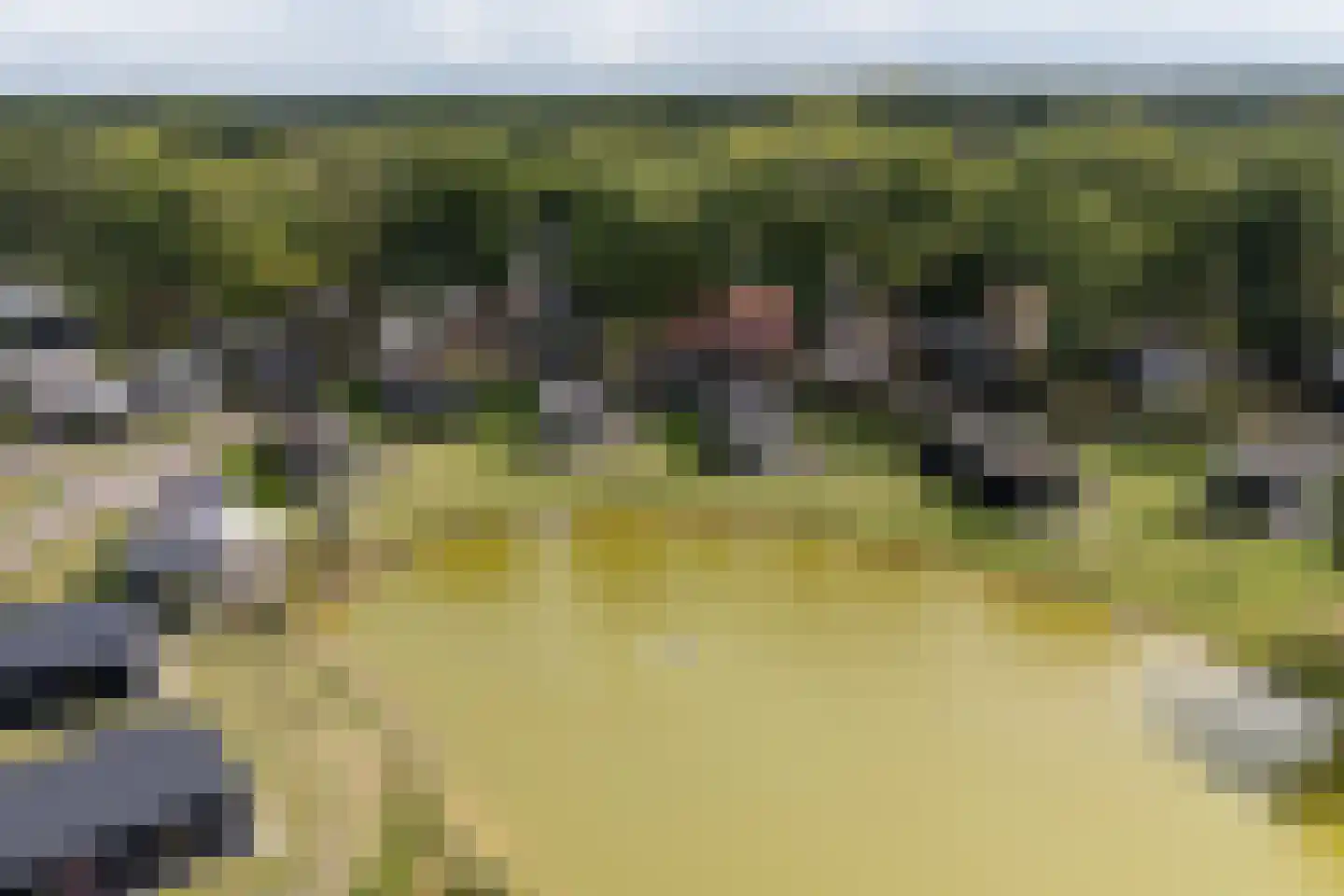 Bathmenseweg 7 H331 Epse thumbnail 5