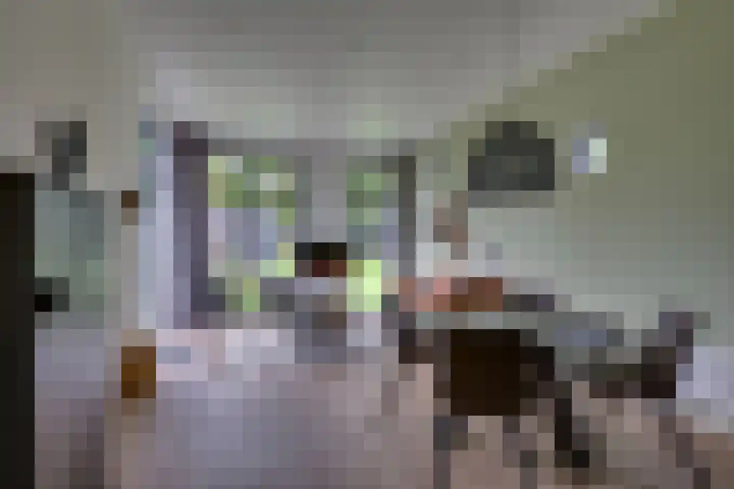Bathmenseweg 7 H413 Epse thumbnail 10
