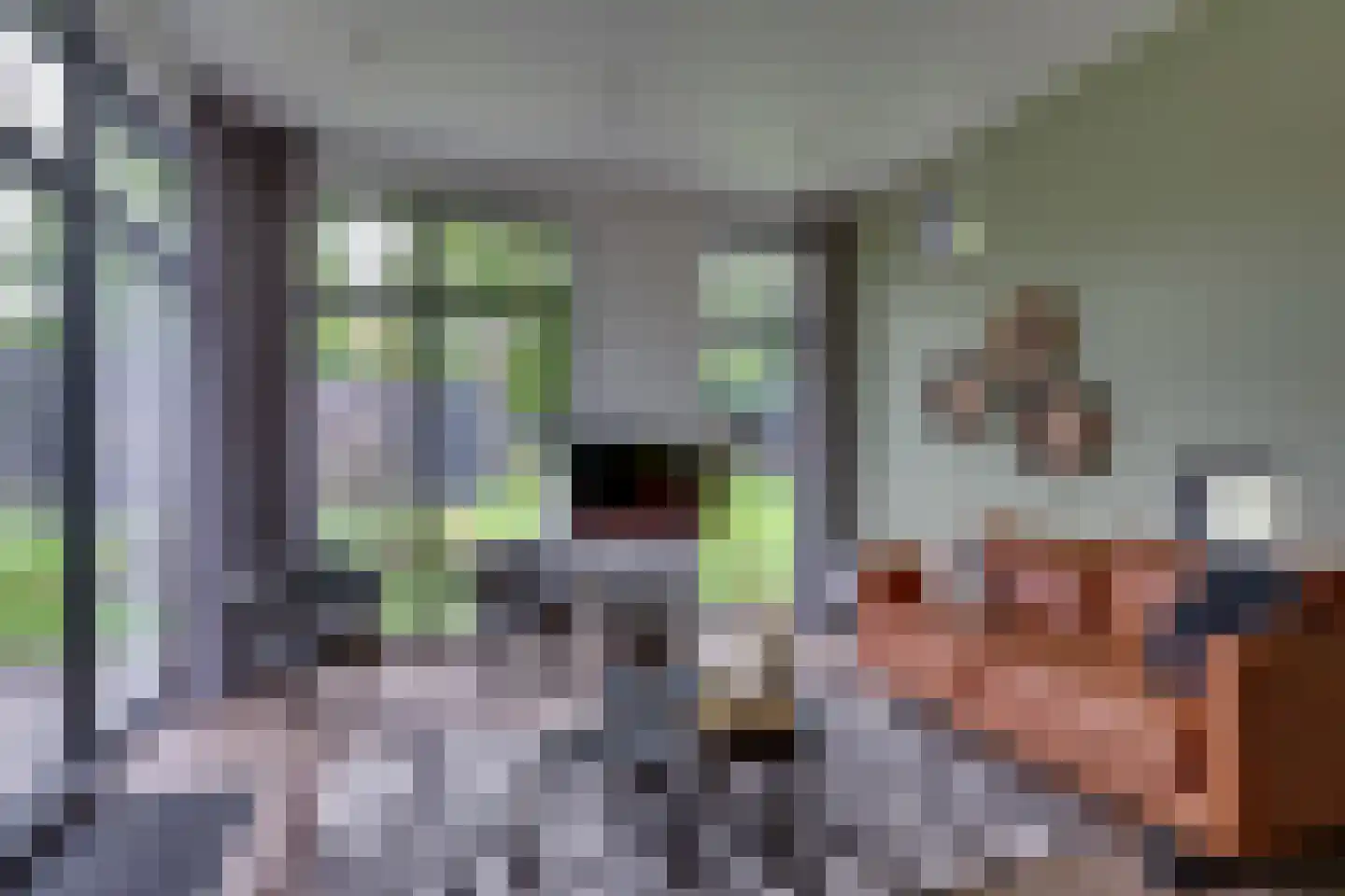 Bathmenseweg 7 H413 Epse thumbnail 11