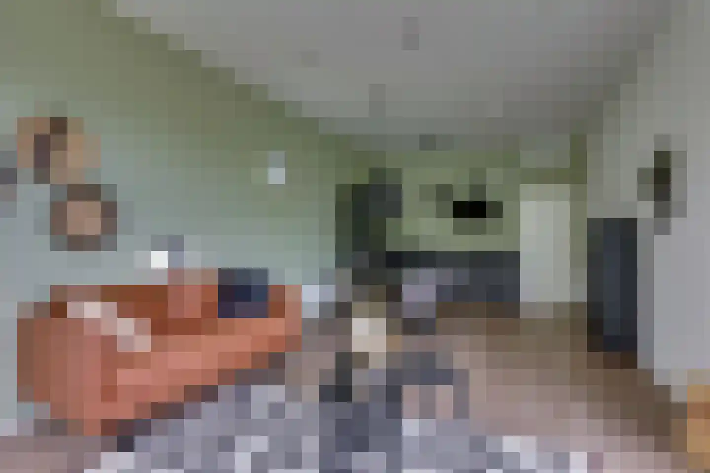 Bathmenseweg 7 H413 Epse thumbnail 13