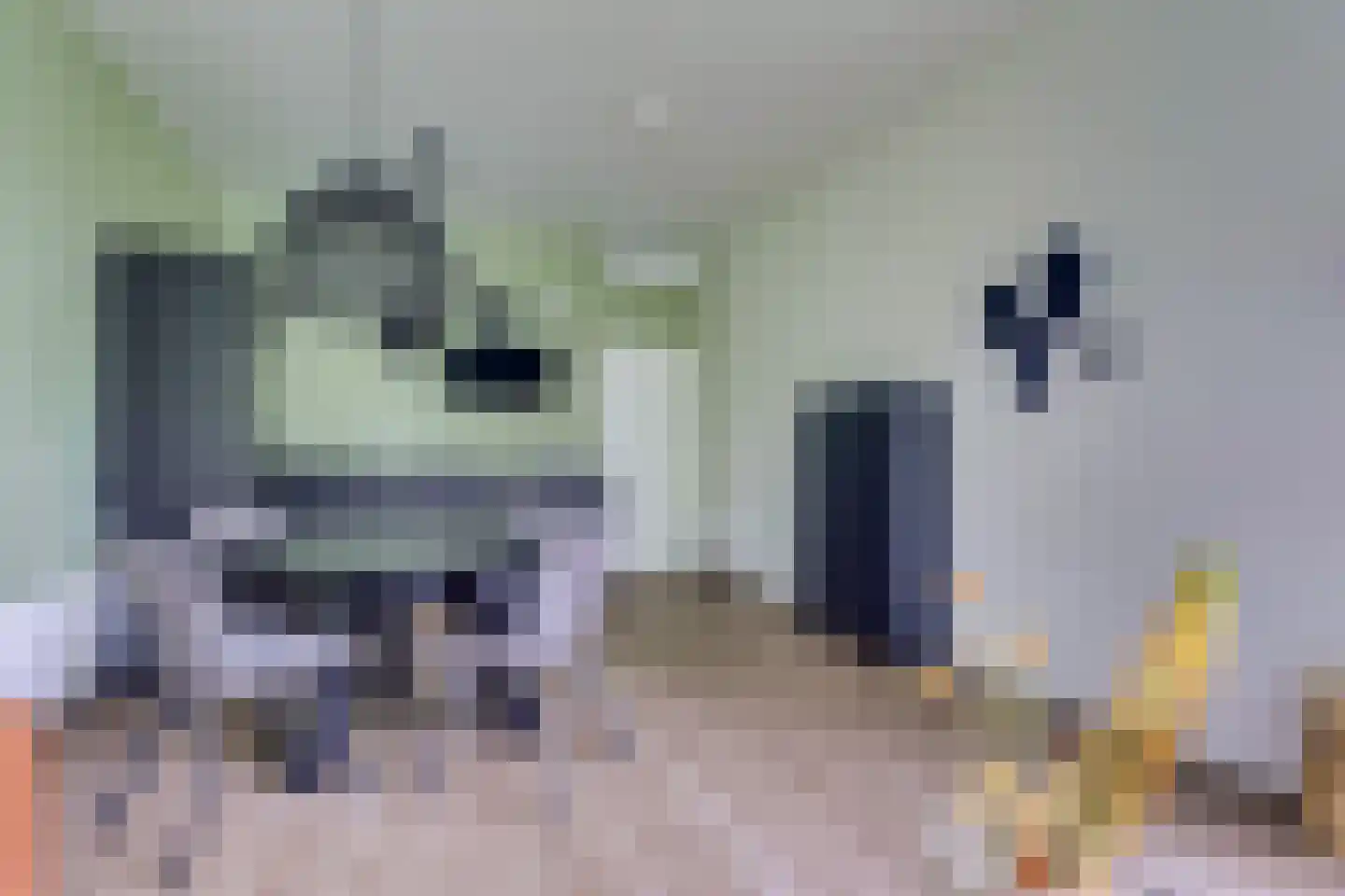 Bathmenseweg 7 H413 Epse thumbnail 14