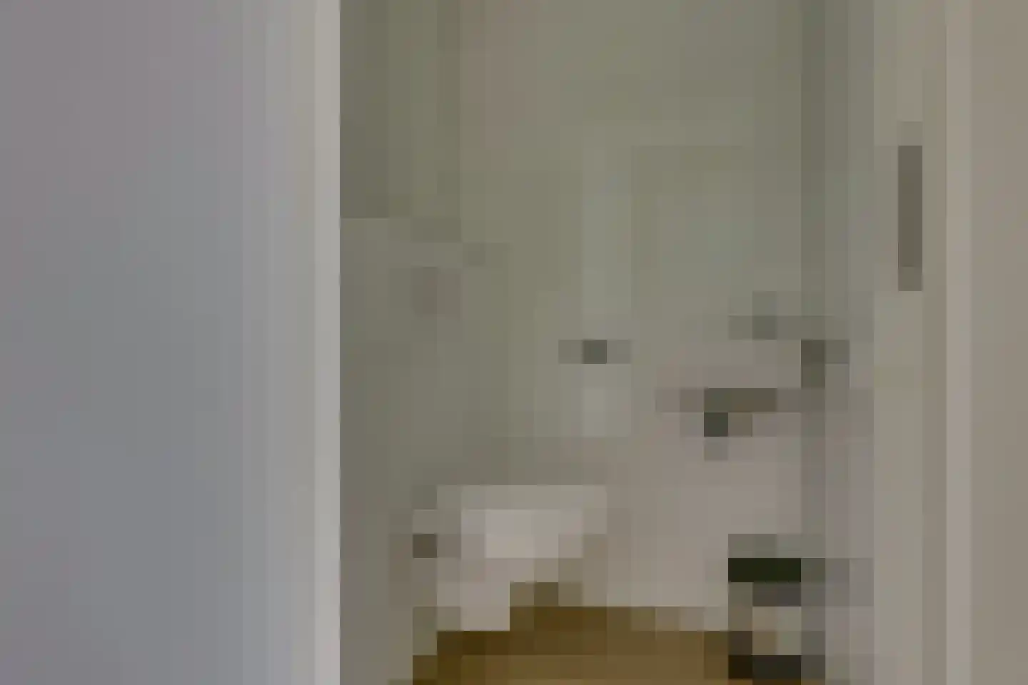 Bathmenseweg 7 H413 Epse thumbnail 18