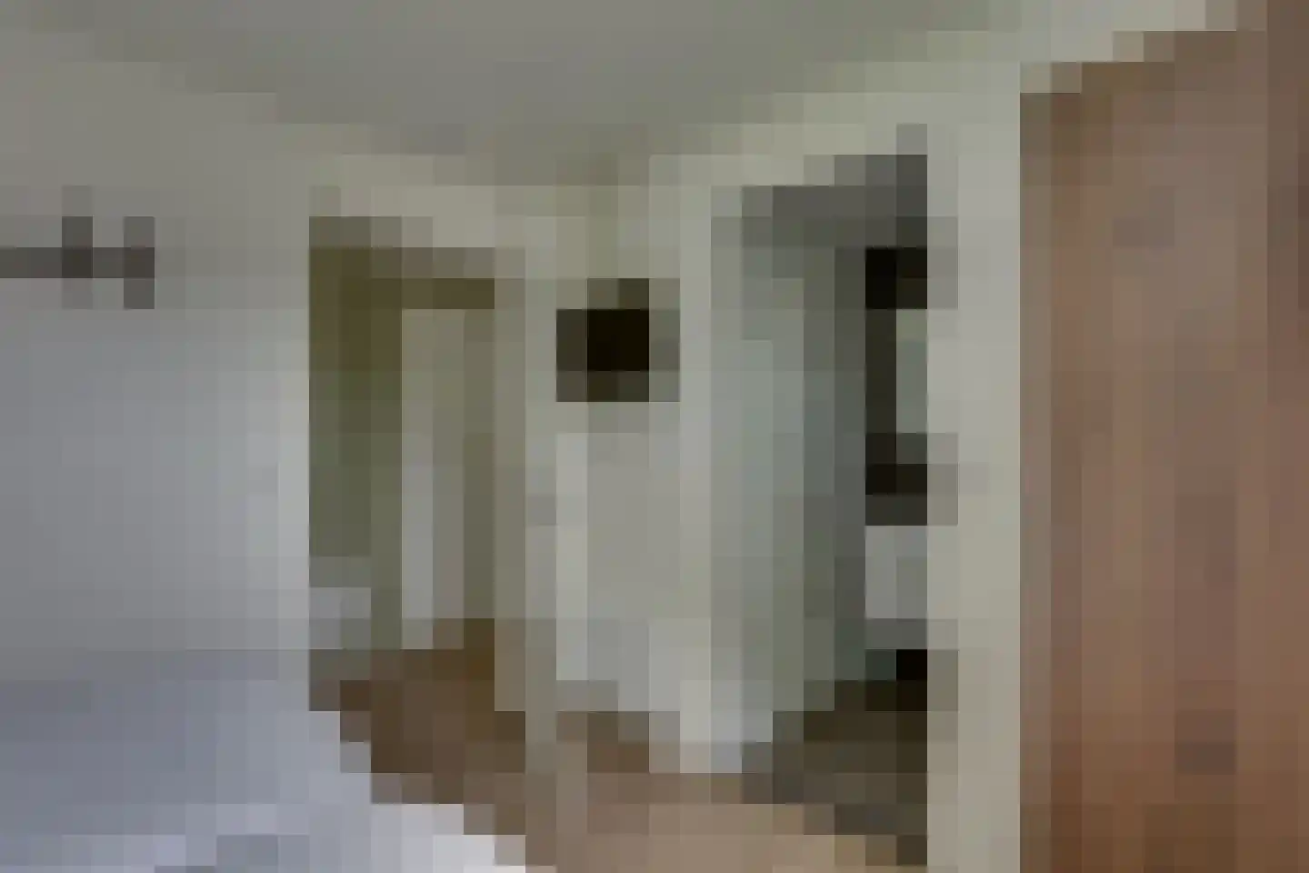 Bathmenseweg 7 H413 Epse thumbnail 20