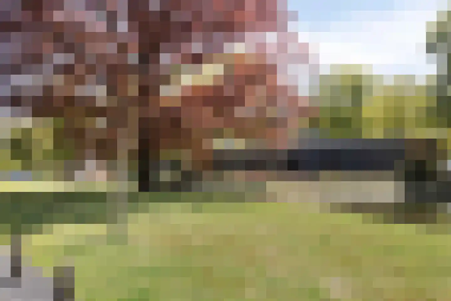 Bathmenseweg 7 H415 Kring van Dorth thumbnail 34
