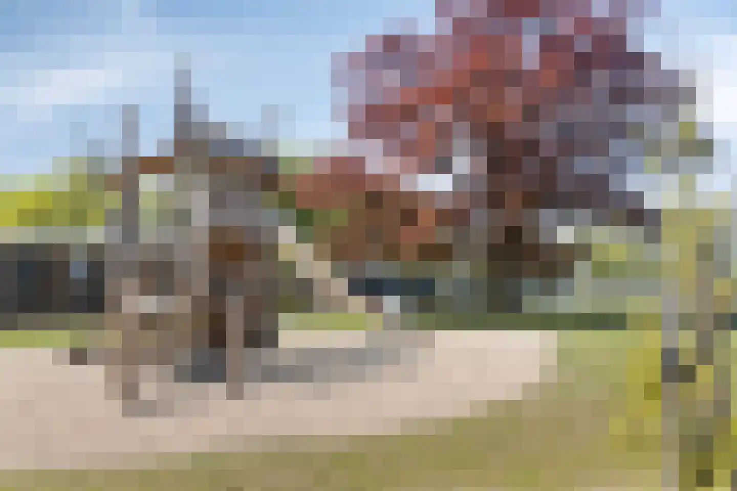 Bathmenseweg 7 H415 Kring van Dorth thumbnail 35