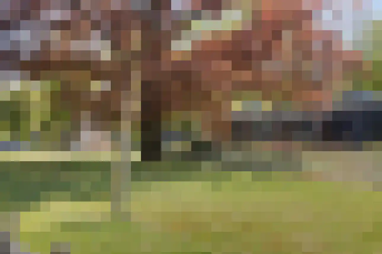 Bathmenseweg 7 H415 Kring van Dorth thumbnail 7