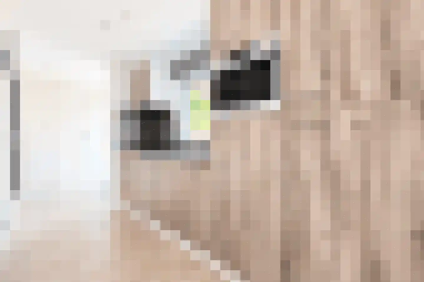 Bathmenseweg 7 H427 Epse thumbnail 10