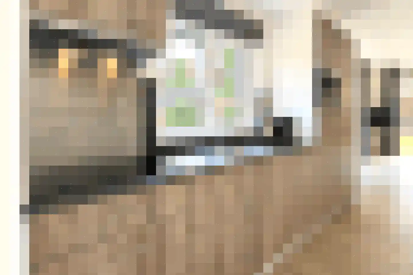 Bathmenseweg 7 H427 Epse thumbnail 11