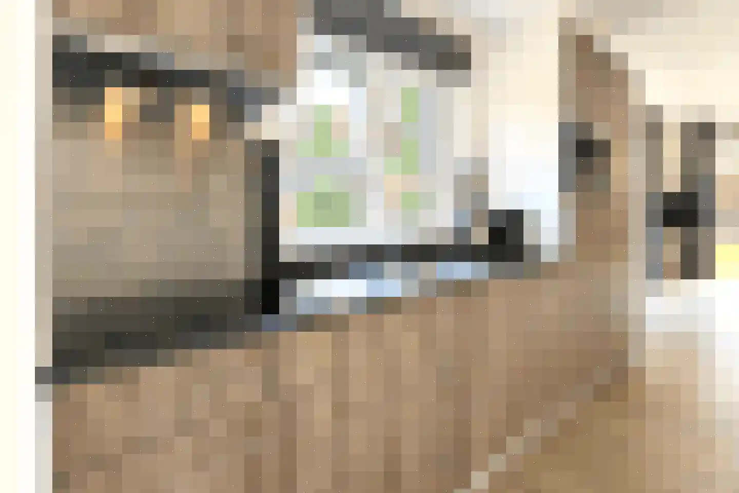 Bathmenseweg 7 H427 Epse thumbnail 12