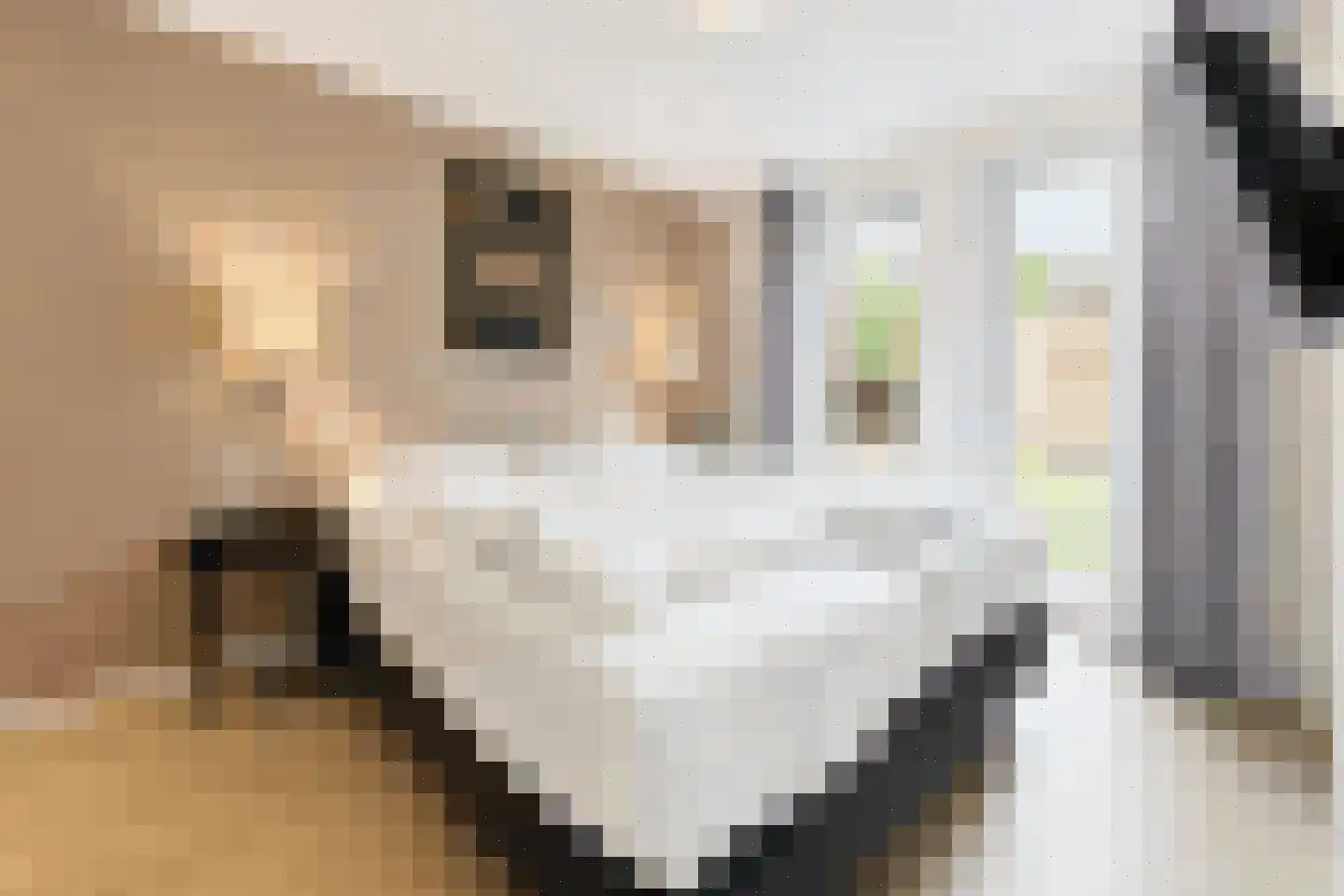 Bathmenseweg 7 H427 Epse thumbnail 13