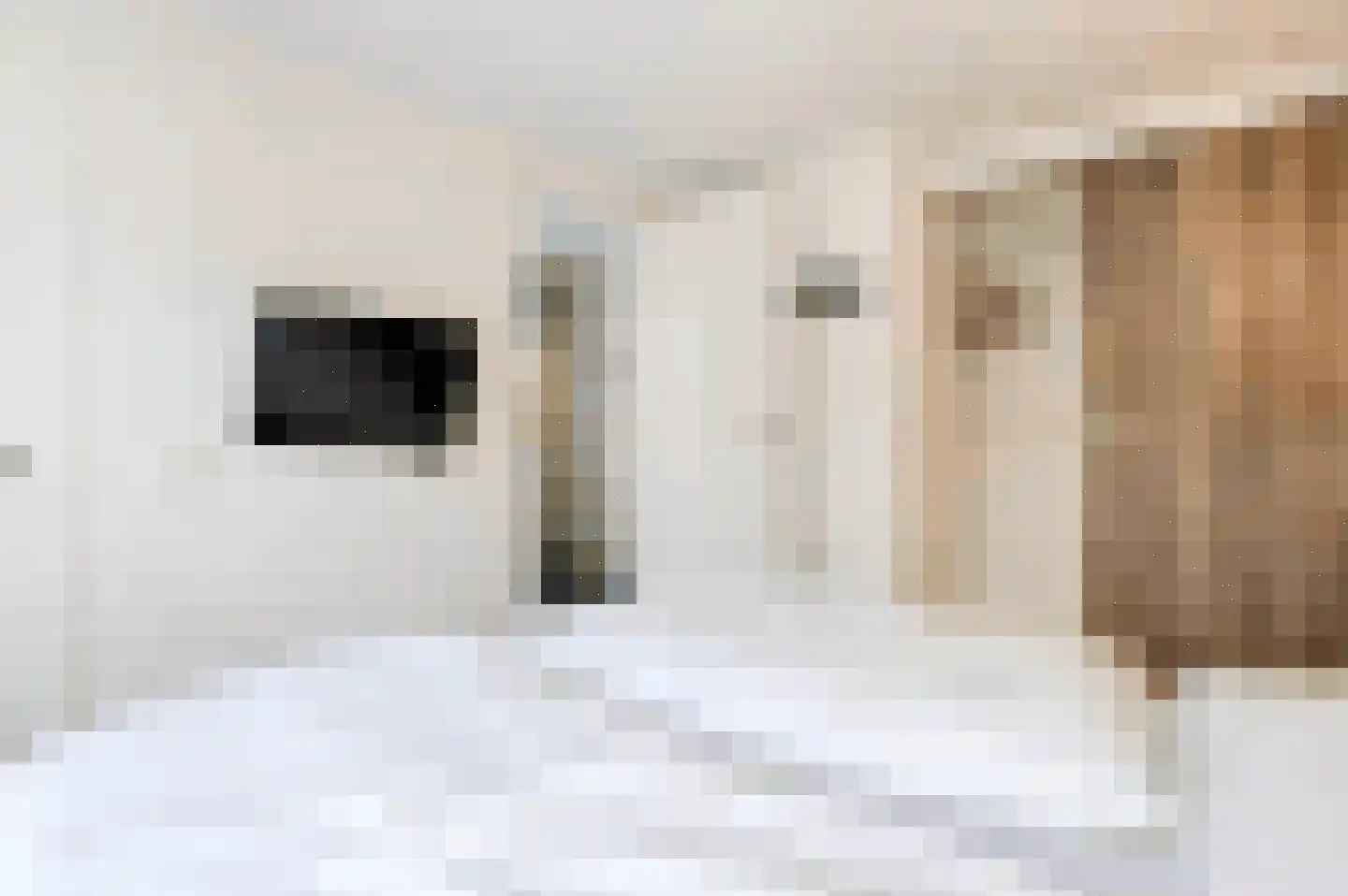Bathmenseweg 7 H427 Epse thumbnail 14