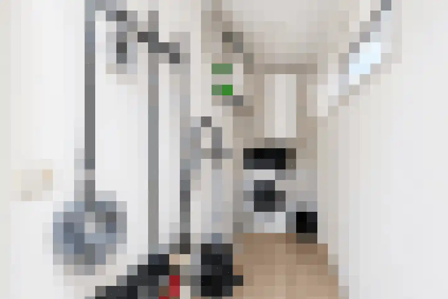 Bathmenseweg 7 H427 Epse thumbnail 18