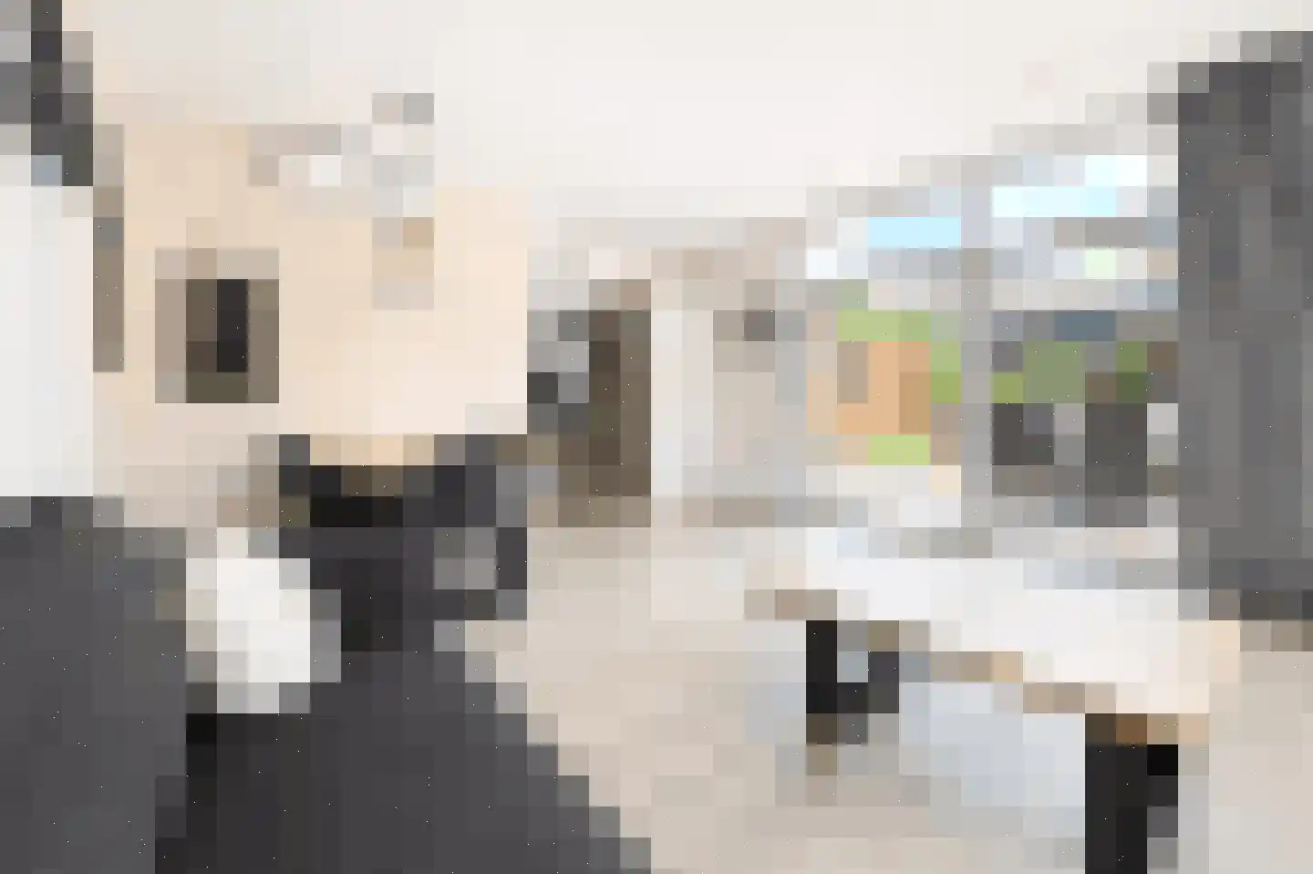 Bathmenseweg 7 H427 Epse thumbnail 5