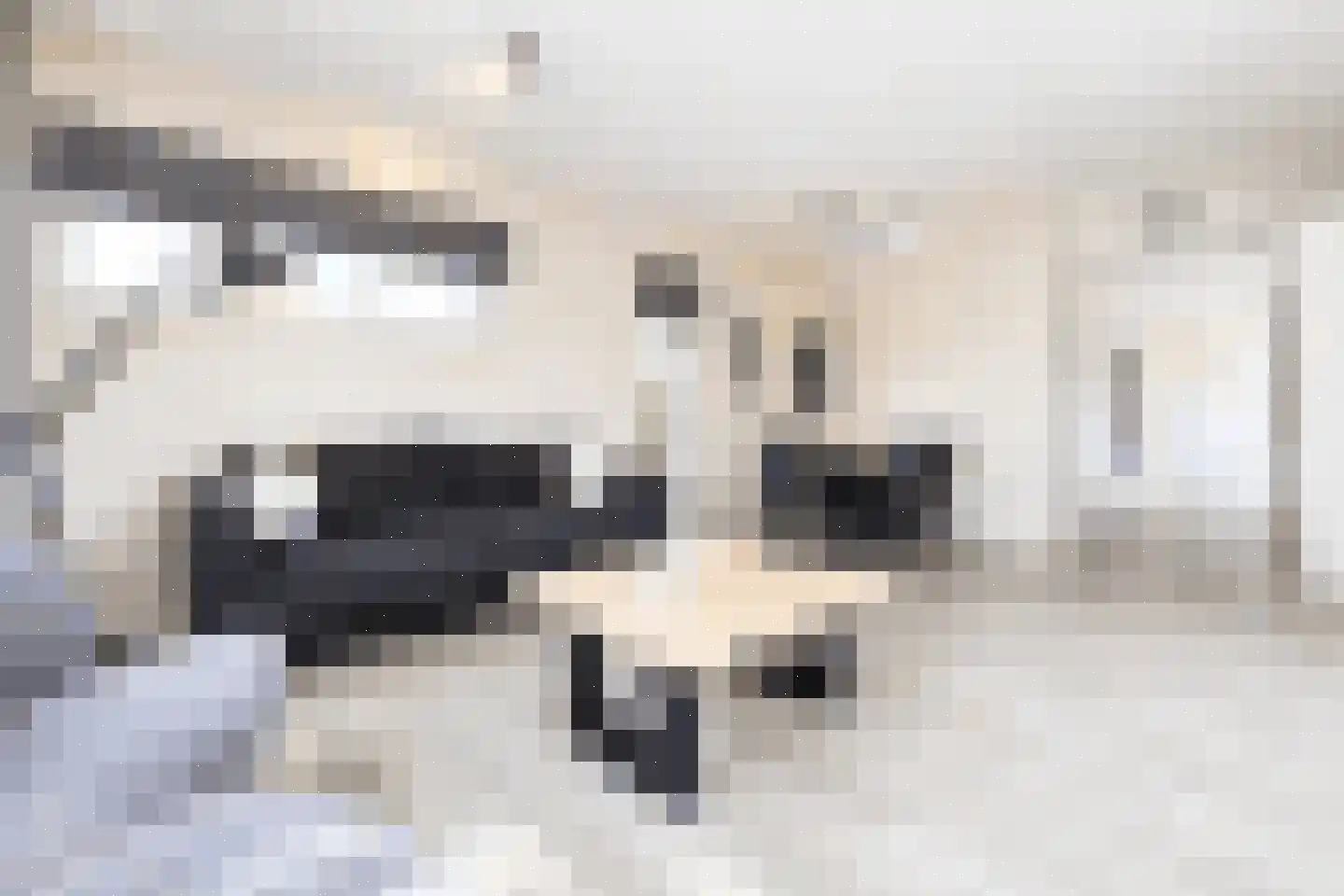 Bathmenseweg 7 H427 Epse thumbnail 6