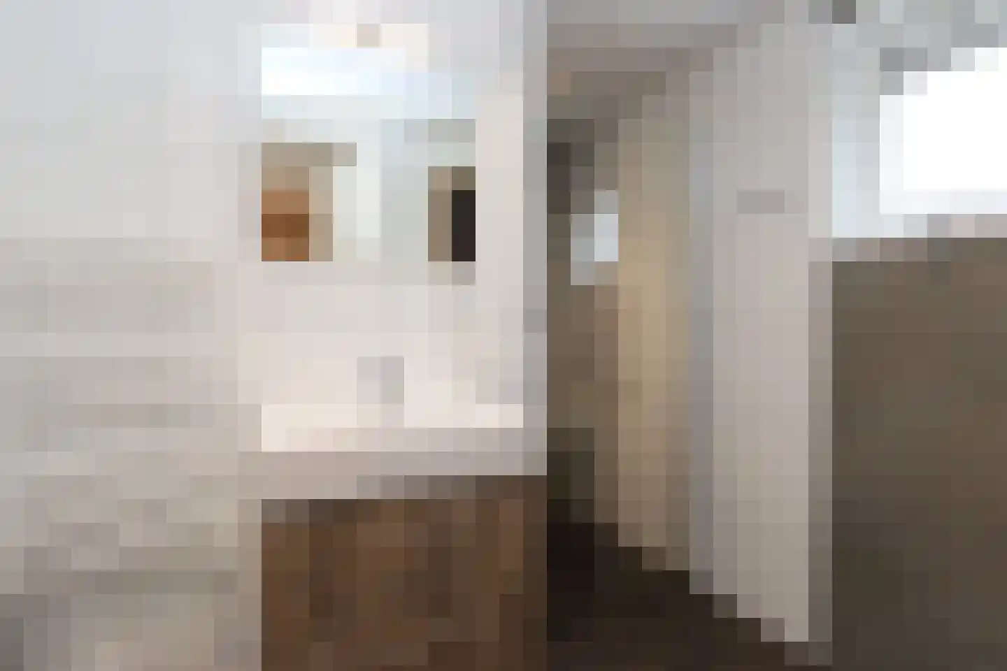Bathmenseweg 7 H430 Kring van Dorth thumbnail 10