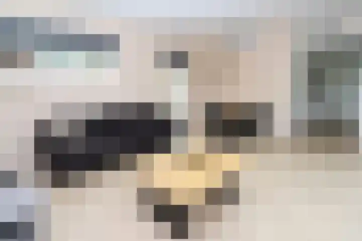 Bathmenseweg 7 H430 Kring van Dorth thumbnail 4