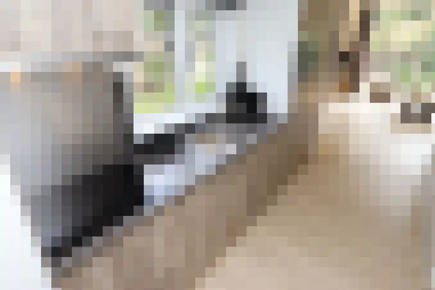 Bathmenseweg 7 H430 Kring van Dorth thumbnail 7