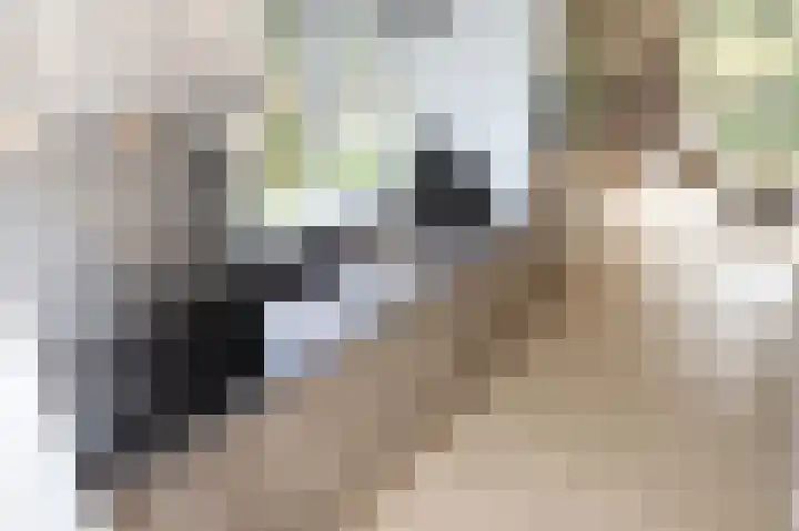 Bathmenseweg 7 H430 Kring van Dorth thumbnail 7