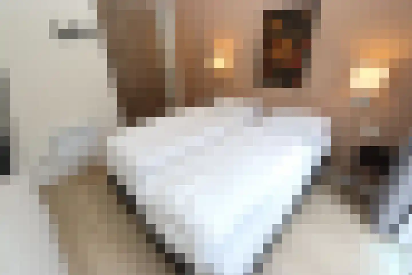 Bathmenseweg 7 H430 Kring van Dorth thumbnail 8