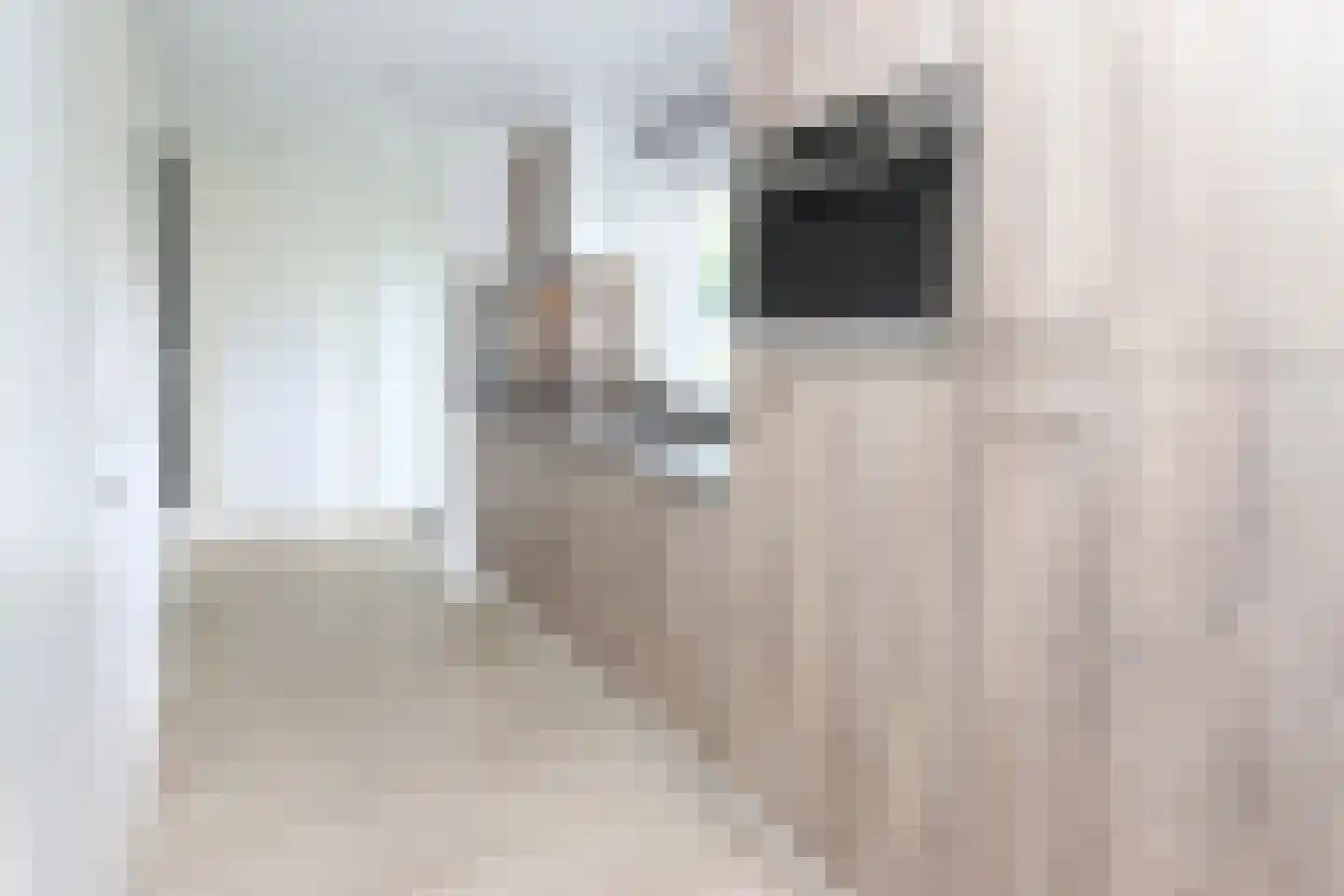 Bathmenseweg 7 H442 Kring van Dorth thumbnail 11