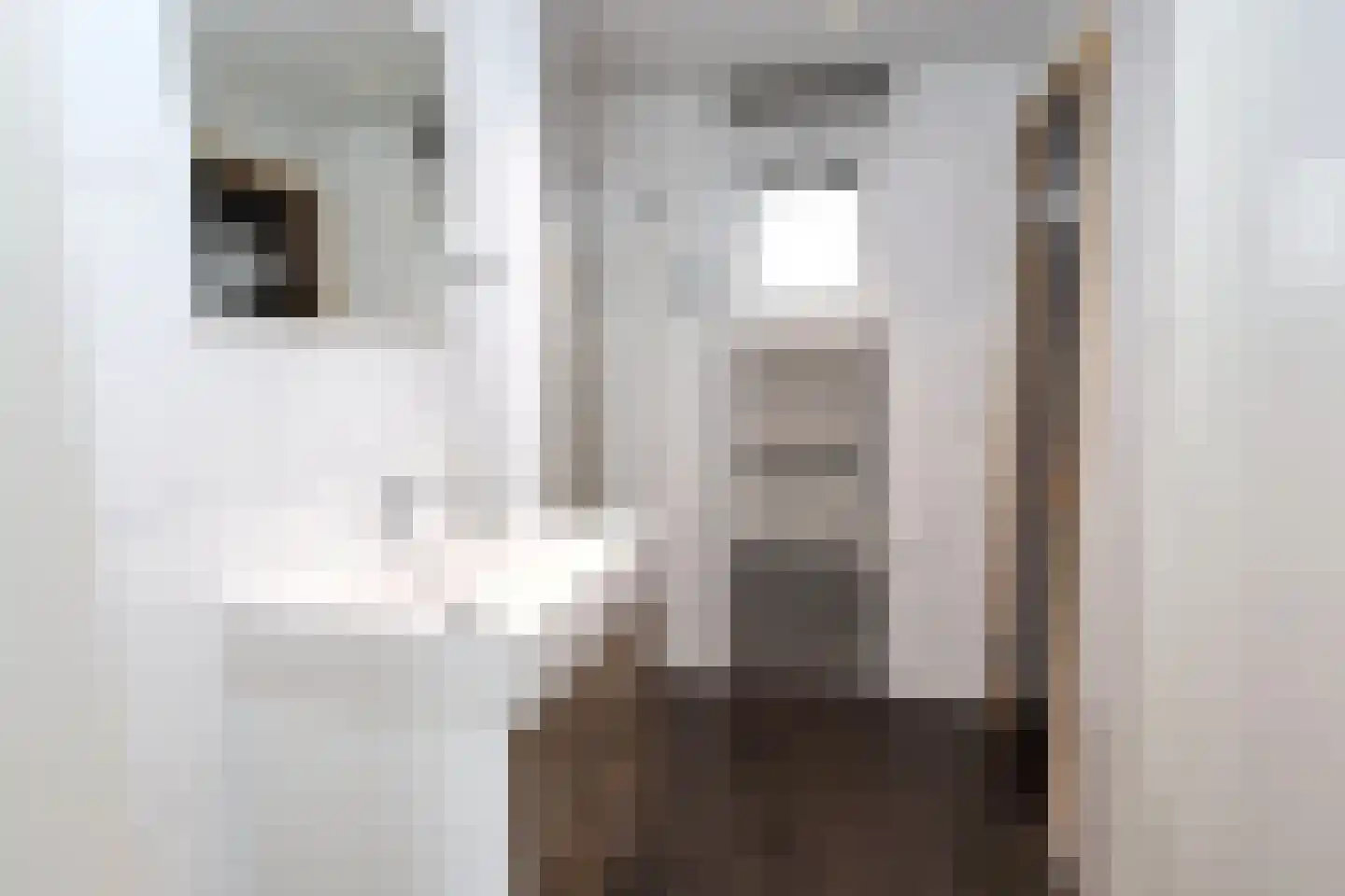 Bathmenseweg 7 H442 Kring van Dorth thumbnail 14