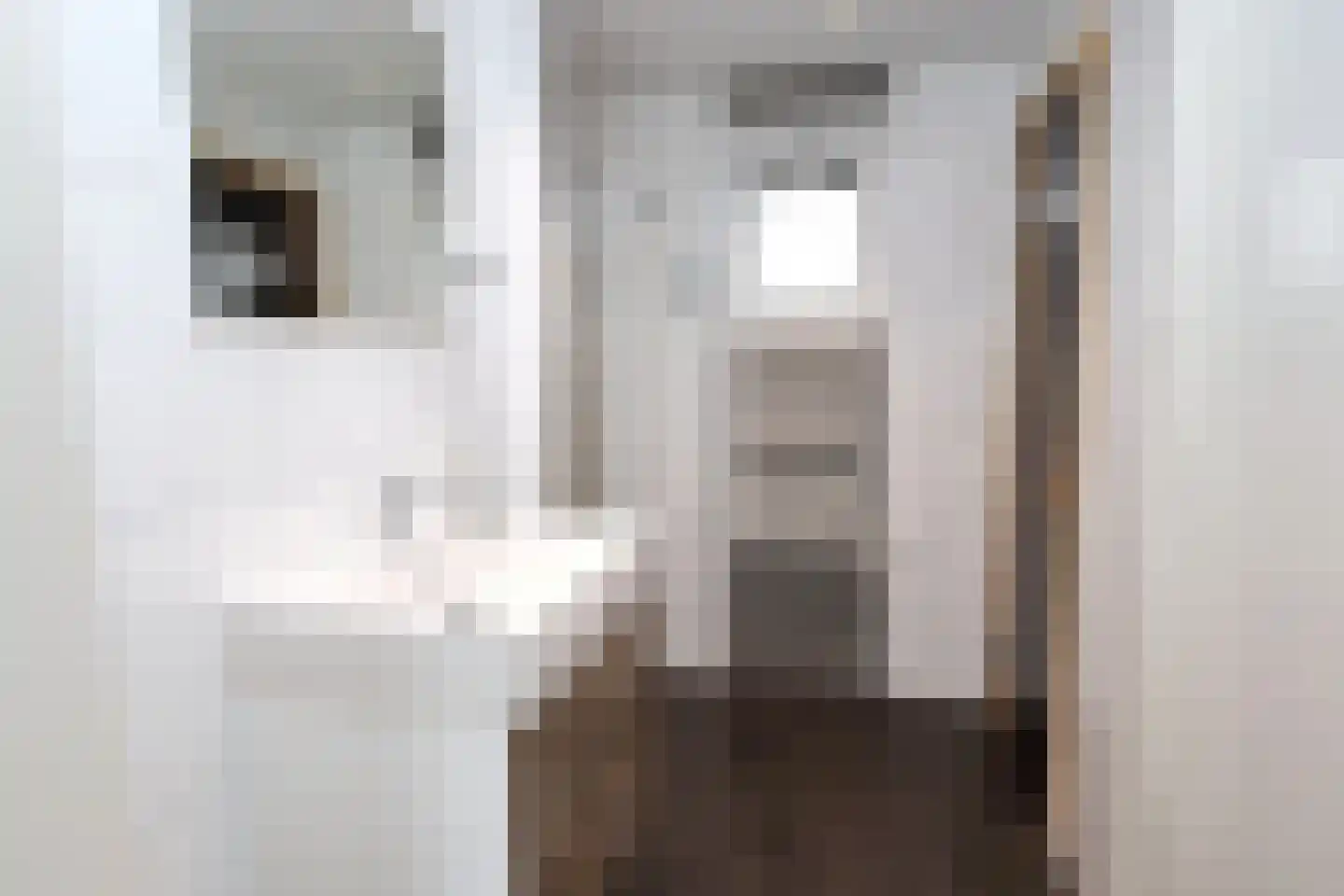 Bathmenseweg 7 H442 Kring van Dorth thumbnail 14