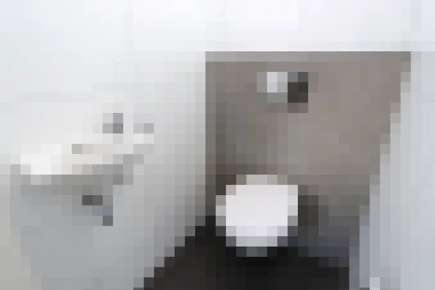 Bathmenseweg 7 H442 Kring van Dorth thumbnail 16