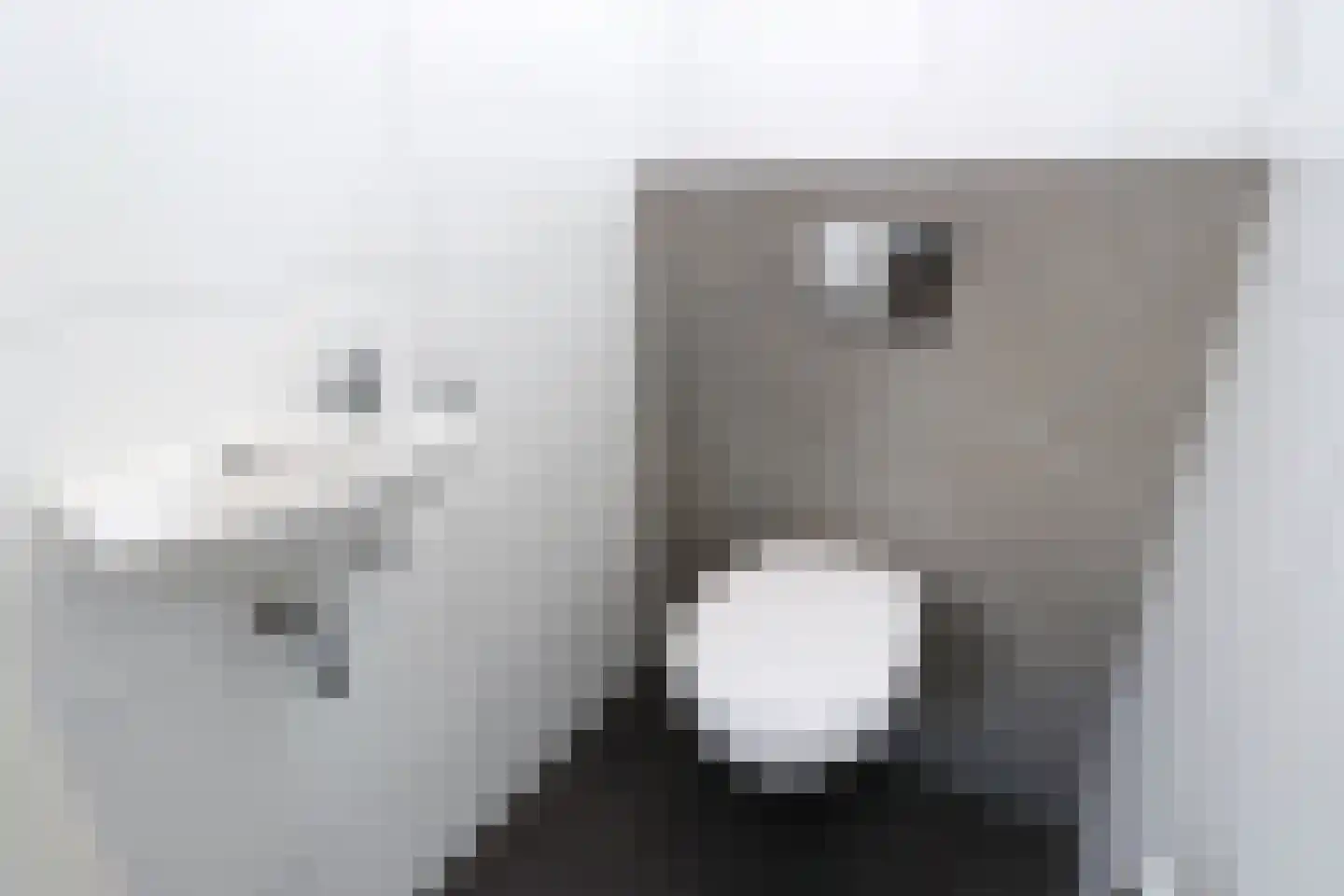 Bathmenseweg 7 H442 Kring van Dorth thumbnail 16