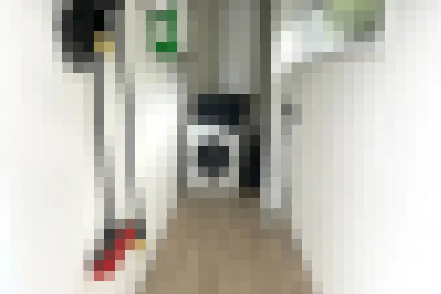 Bathmenseweg 7 H442 Kring van Dorth thumbnail 17